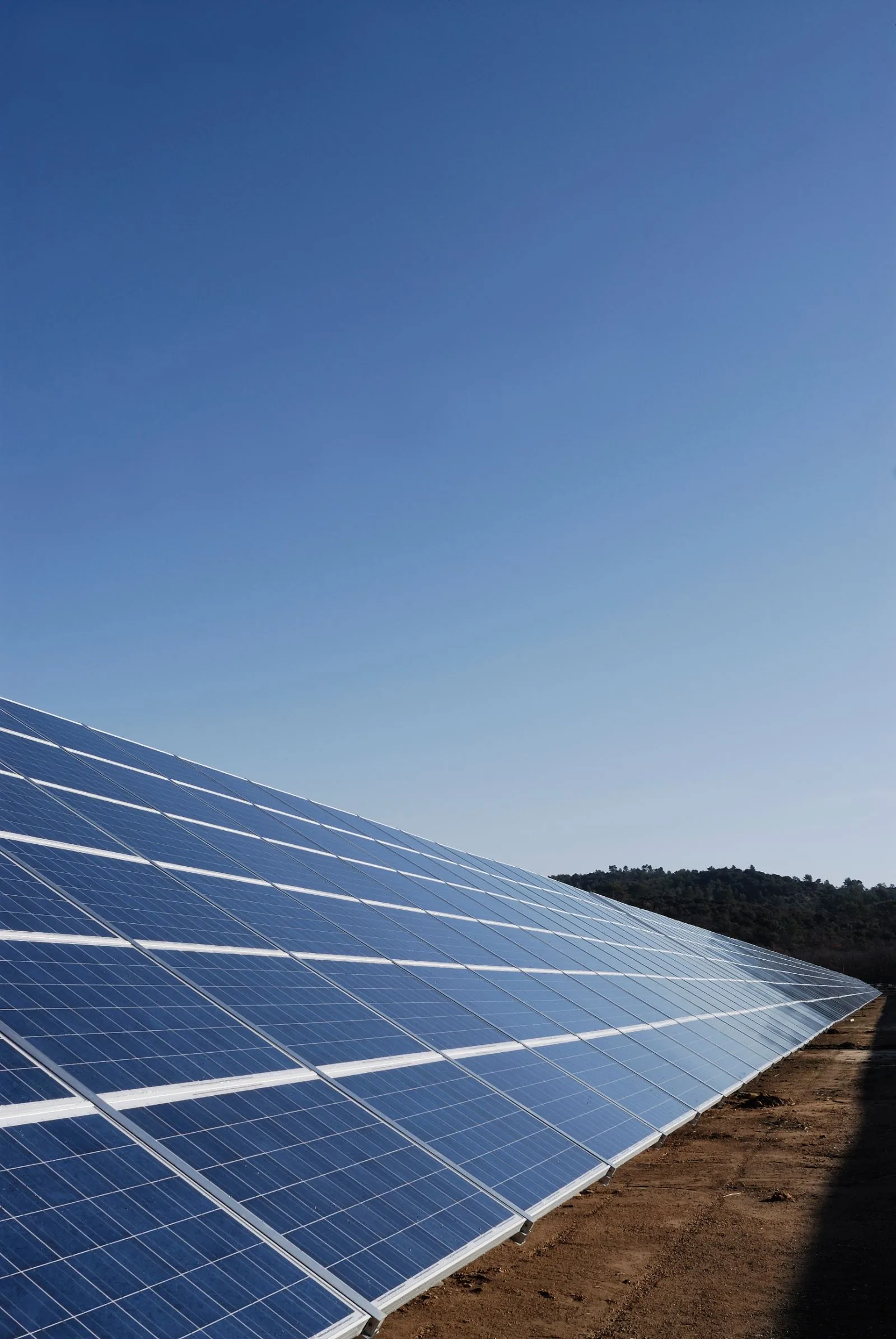 Rows of ground-mounted solar panels under a clear blue sky with a tree-lined hill in the background